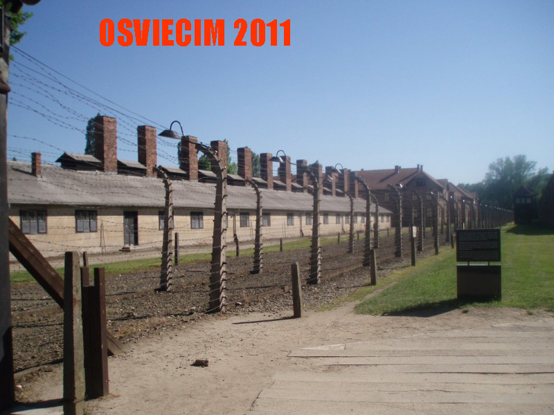 OSWIECIM 2011 1